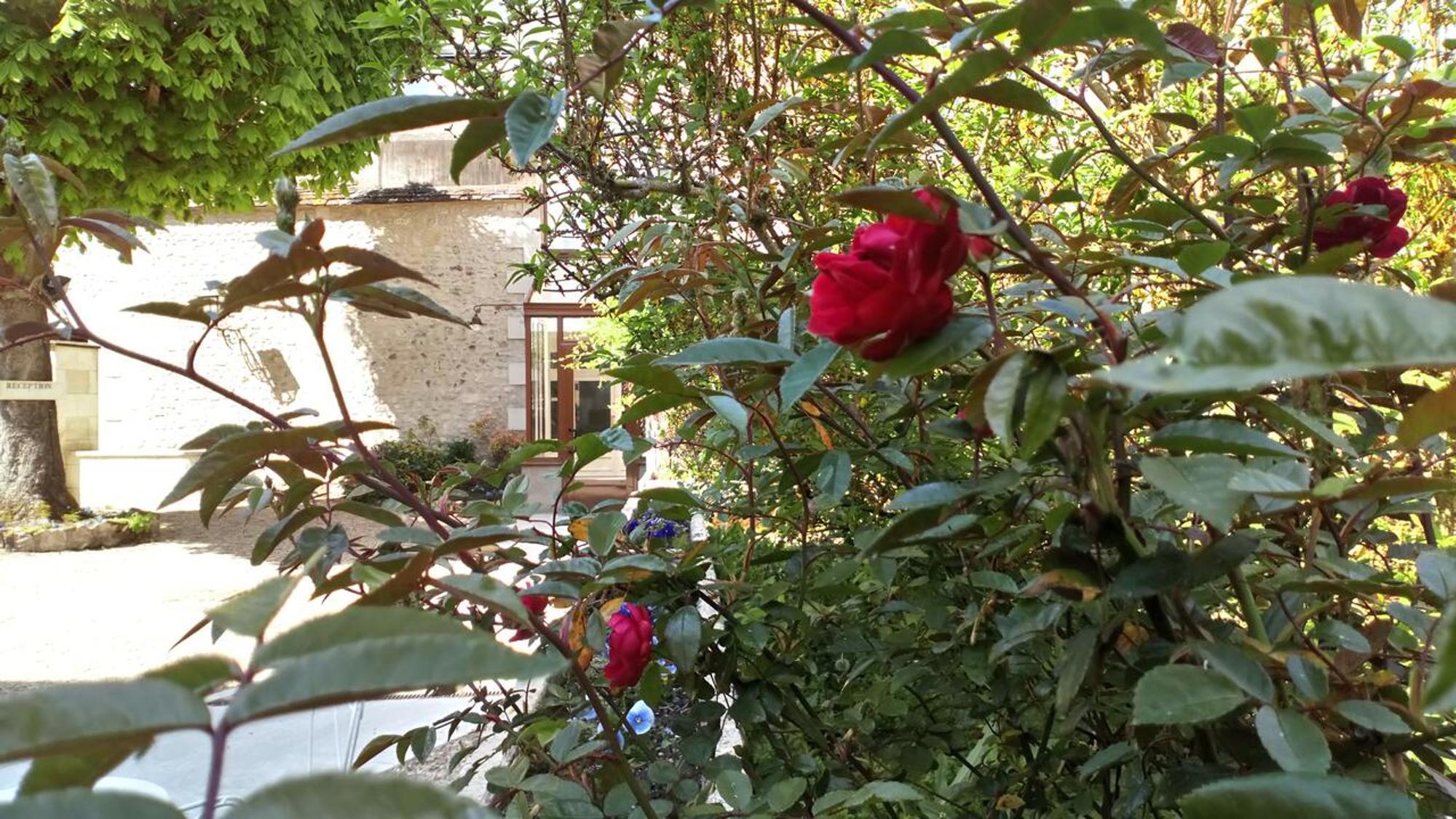 Hotel Grand Monarque Azay-le-Rideau Exteriör bild